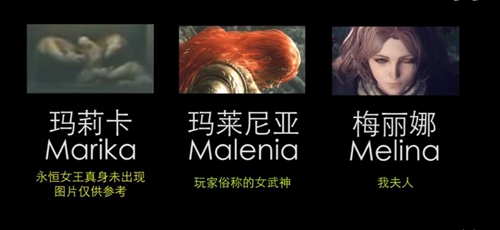 艾尔登法环梅丽娜是谁(艾尔登法环梅丽娜背景介绍)