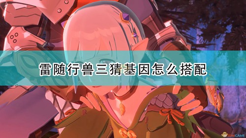 怪物猎人物语2基因搭配思路-基因搭配思路推荐