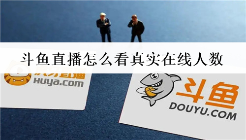 斗鱼直播怎么看真实在线人数 怎么查看斗鱼直播真实观看人数 斗鱼直播