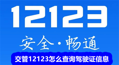 交管12123怎么查询驾驶证信息 交管12123查询驾驶证信息教程 交管12123