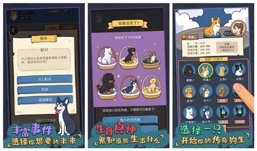 狗生模拟器怎么解锁藏獒边牧 狗生模拟器藏獒边牧解锁攻略 狗生模拟器