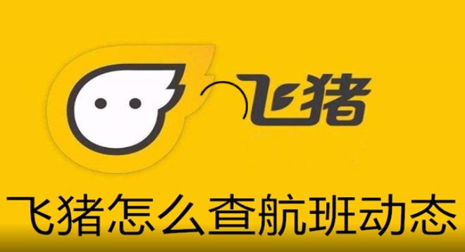 飞猪旅行怎么查看航班动态 飞猪旅行查看航班动态方法分享 飞猪旅行