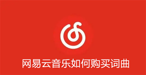 网易云音乐如何购买词曲 网易云音乐购买词曲方法介绍 网易云音乐