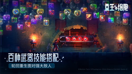 重生细胞哪里可以回血