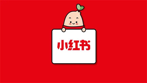 小红书怎么设置学校信息 小红书设置学校信息方法详解 小红书