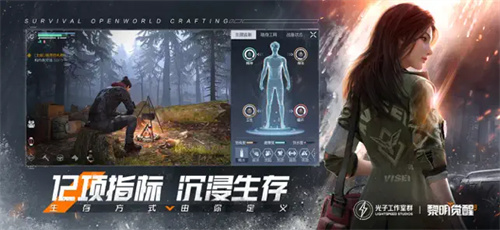 黎明觉醒生机有哪些职业