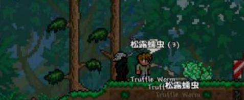 本站2