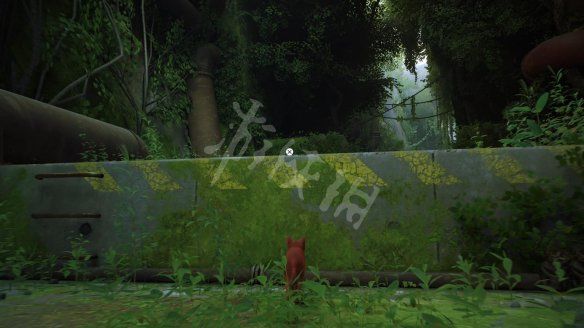 本站