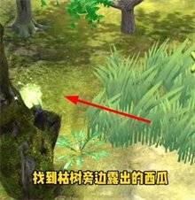 夺笋高手隐藏图鉴攻略 夺笋高手隐藏图鉴攻略