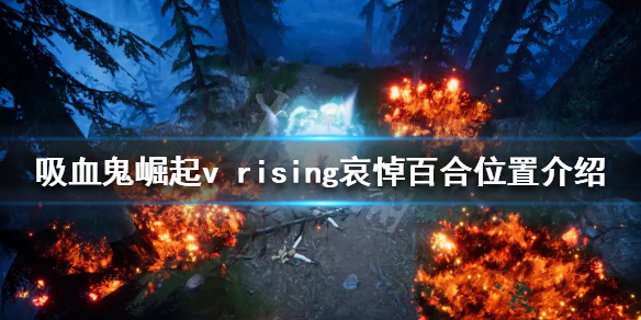 本站1