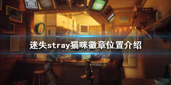 本站1