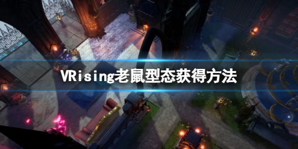 本站1