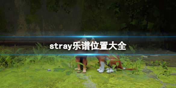 本站1