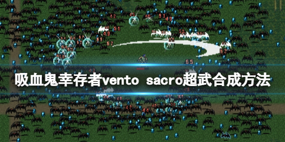 本站1