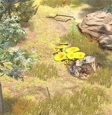 夺笋高手隐藏山货有哪些 夺笋高手隐藏山货有哪些