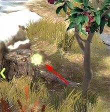 夺笋高手隐藏图鉴攻略 夺笋高手隐藏图鉴攻略