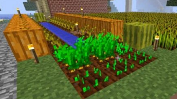 我的世界南瓜种子怎么得 我的世界南瓜种子怎么得