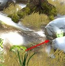 夺笋高手隐藏山货有哪些 夺笋高手隐藏山货有哪些