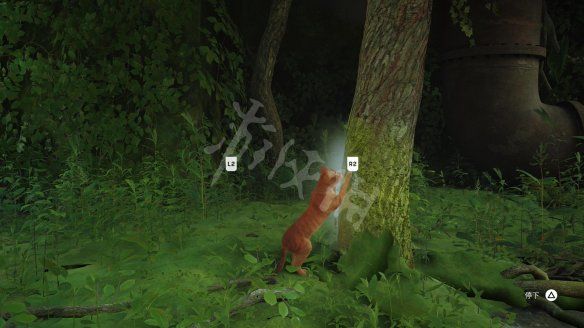 本站