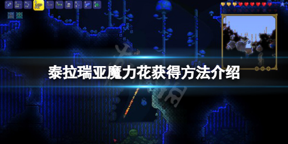 本站1