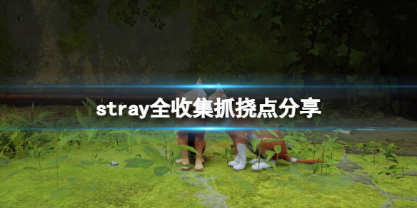 本站1