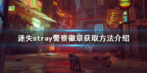 本站1