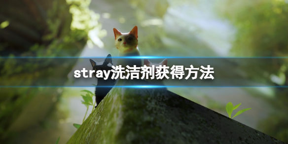 本站1