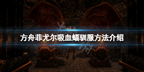 本站1