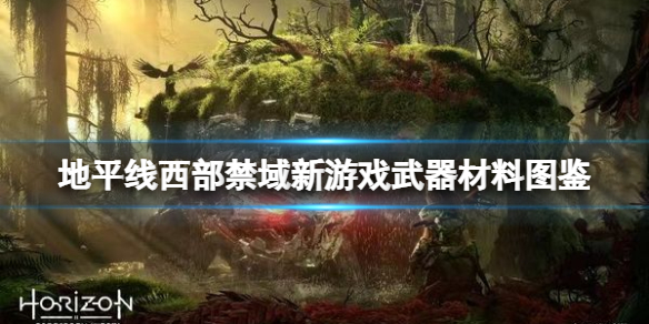 本站1