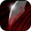 本站2