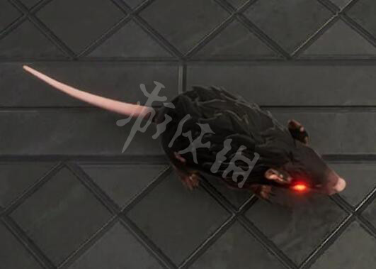 本站2