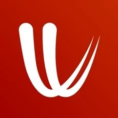 windy气象软件安卓下载