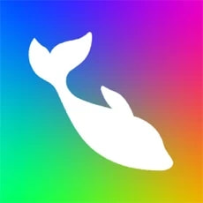 Flow Photo下载2022安卓最新版