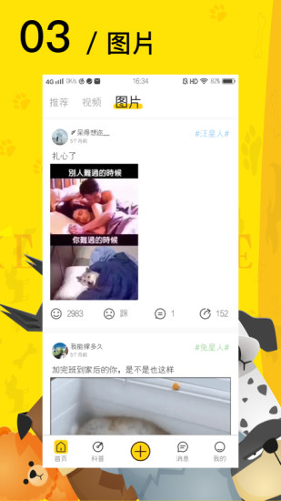 爱宠星球软件下载安装下载