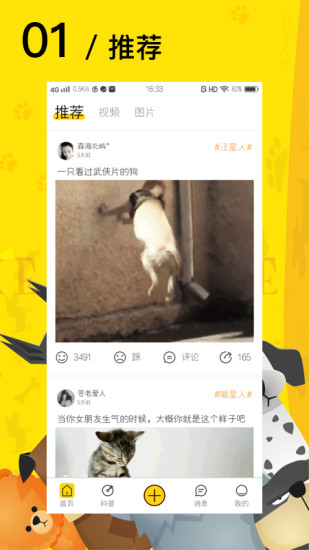 爱宠星球软件下载安装最新版