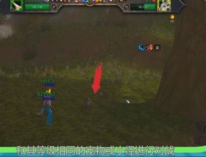 魔兽世界9.0宠物对战怎么升级-宠物对战升级攻略9.0