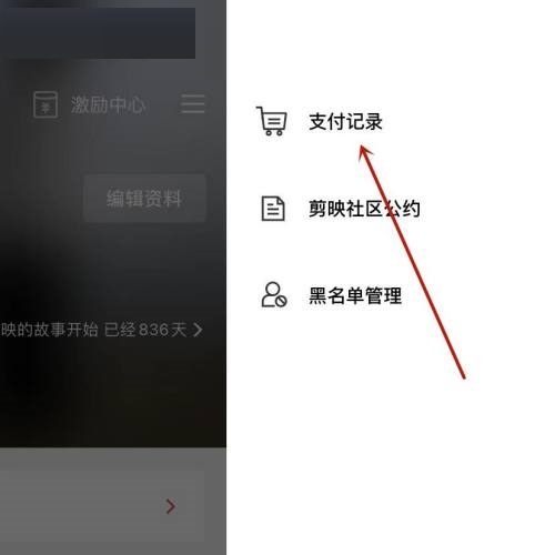 剪映支付记录怎么查看 支付记录查看步骤介绍