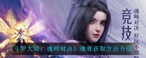 斗罗大陆魂师对决魂骨怎么进行获得(斗罗大陆魂师对决魂骨获得攻略)