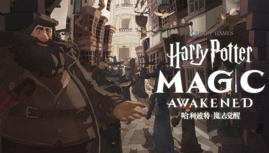 哈利波特：魔法觉醒12月礼包兑换码(哈利波特：魔法觉醒12月礼包兑换码介绍)
