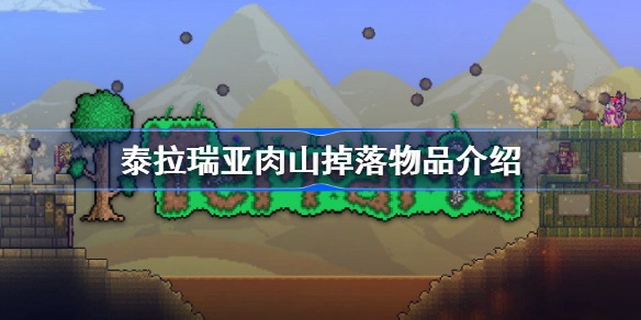 泰拉瑞亚肉山掉落物品有哪些(泰拉瑞亚肉山掉落物品详细介绍)