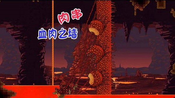 泰拉瑞亚肉山掉落物品有哪些(泰拉瑞亚肉山掉落物品详细介绍)
