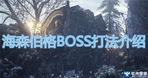 生化危机8村庄诡影海森伯格打法攻略(生化危机8村庄诡影海森伯格打法教程)