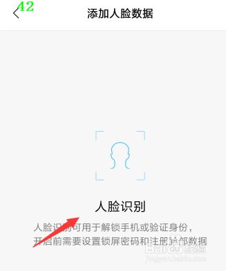怎么添加手机人脸数据