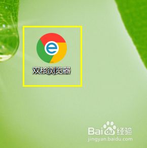 Chrome双核浏览器怎样使用一键装机功能？