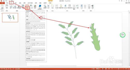 蒌蒿和芦芽怎么画