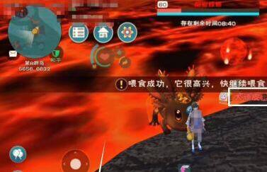 创造与魔法熔岩露齿鲨捕捉方法