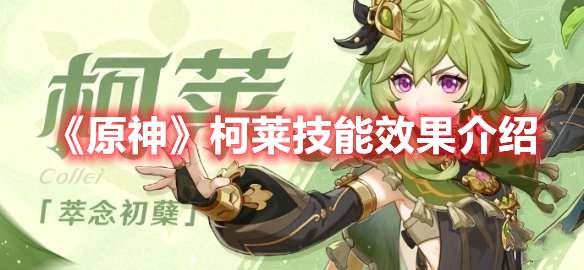 原神柯莱技能效果是什么-原神柯莱技能效果介绍