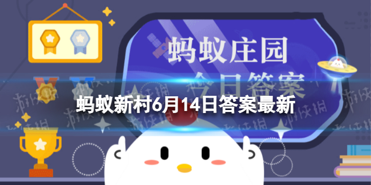【蚂蚁新村攻略】种子会不会冬眠（详细教程）