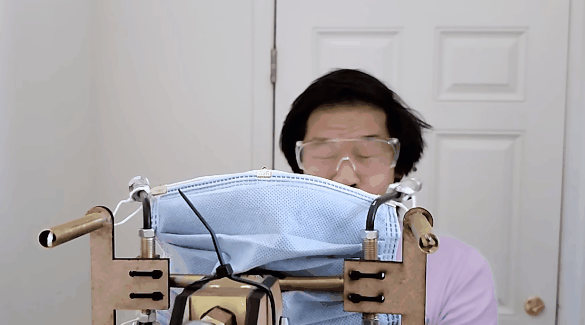 油管博主给蛇做了套义肢 三千万人在线围观