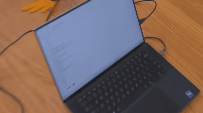 油管博主给蛇做了套义肢 三千万人在线围观